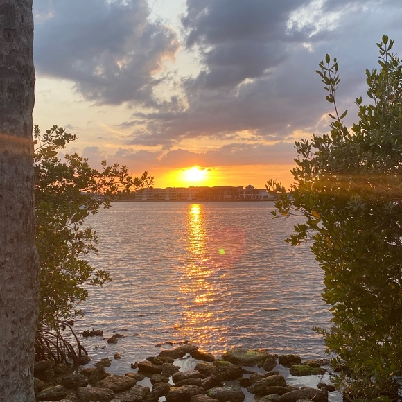 Meet your Posher, Emma - Picture 1 of 1